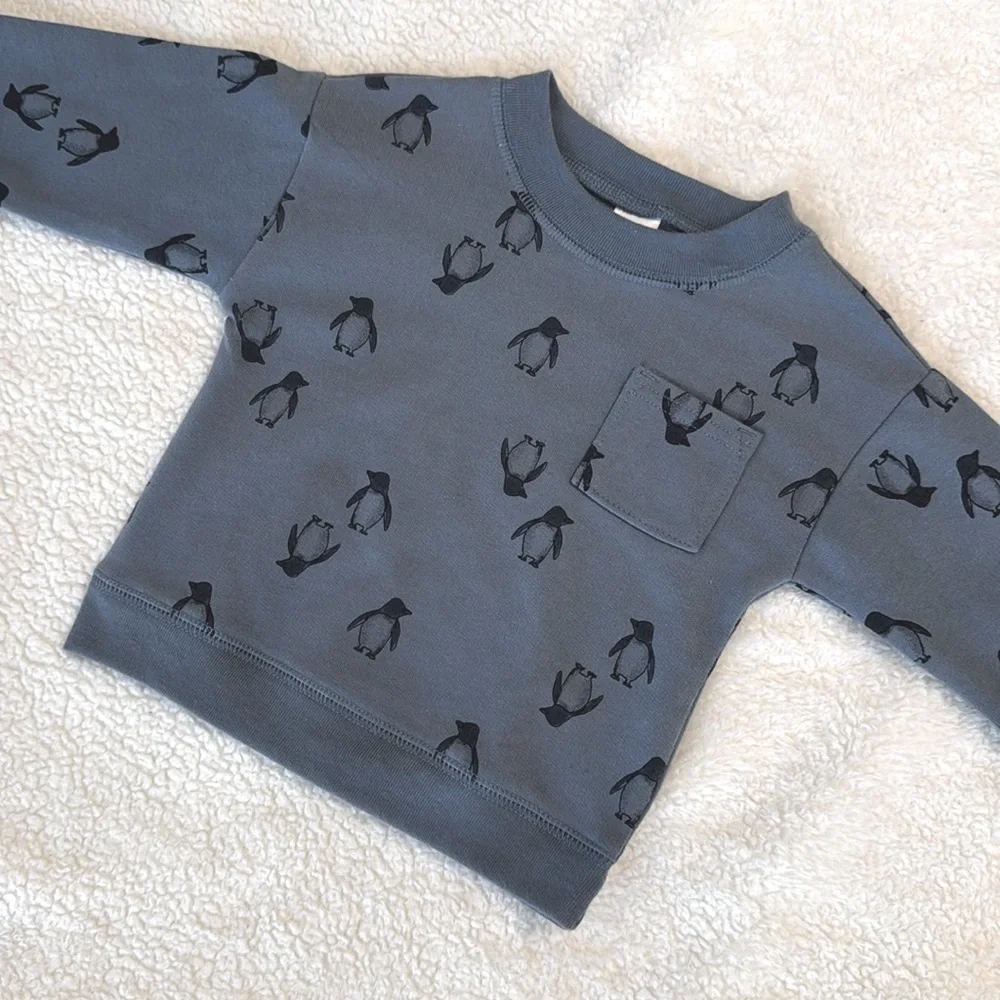 Carter’s Child of Mine Baby Boy Blue Sweatshirt Penguin Print Pocket Pullover